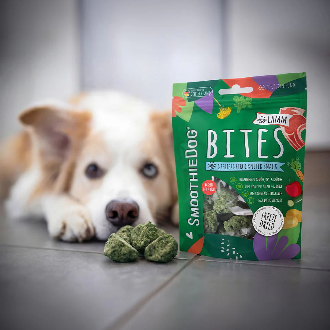 SmoothieDog Bites Lamm gefriergetrocknet
