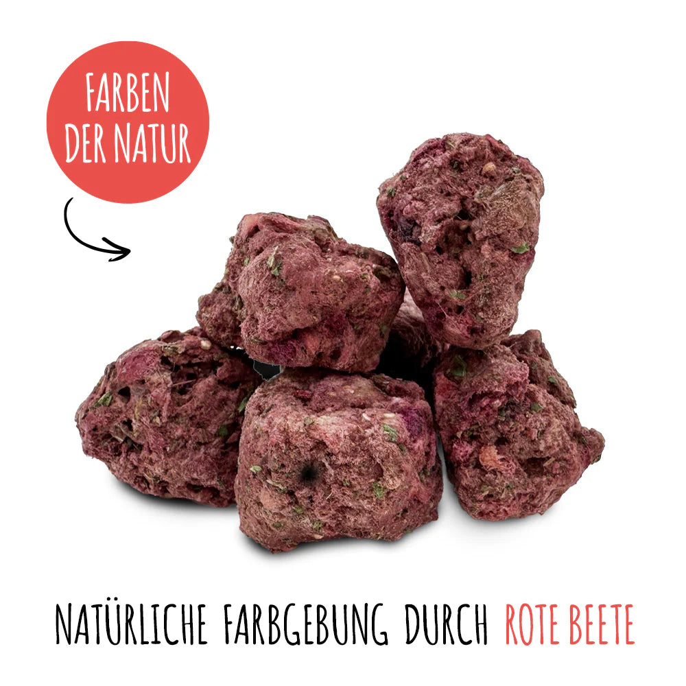 SmoothieDog Bites Rind gefriergetrocknet