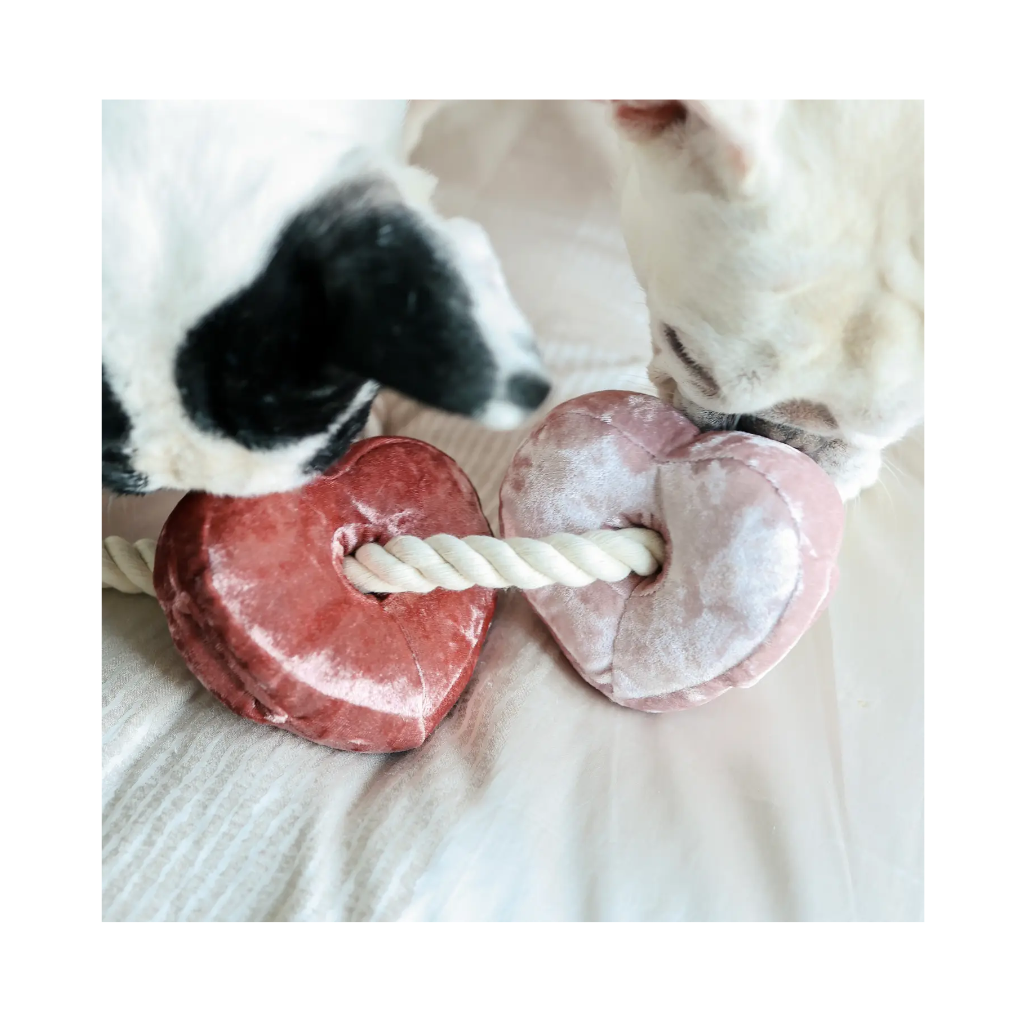 Hunde mit Hundespielzeug BLOCS mit Seil Valentines-Special - Lambwolf Collective