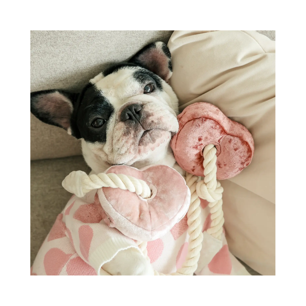 Moodbild Hundespielzeug BLOCS mit Seil Valentines-Special - Lambwolf Collective