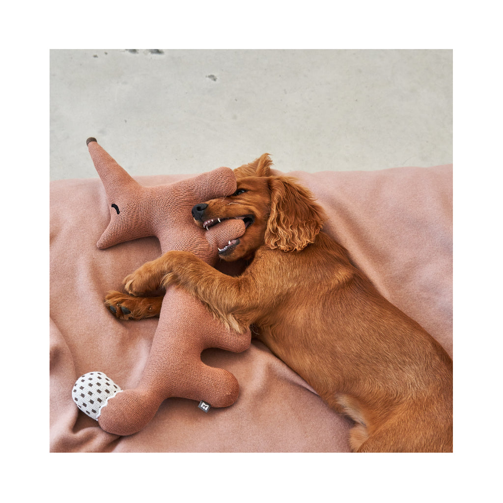 Hund mit Bosco Stofftier Fuchs Ziegel - MiaCara