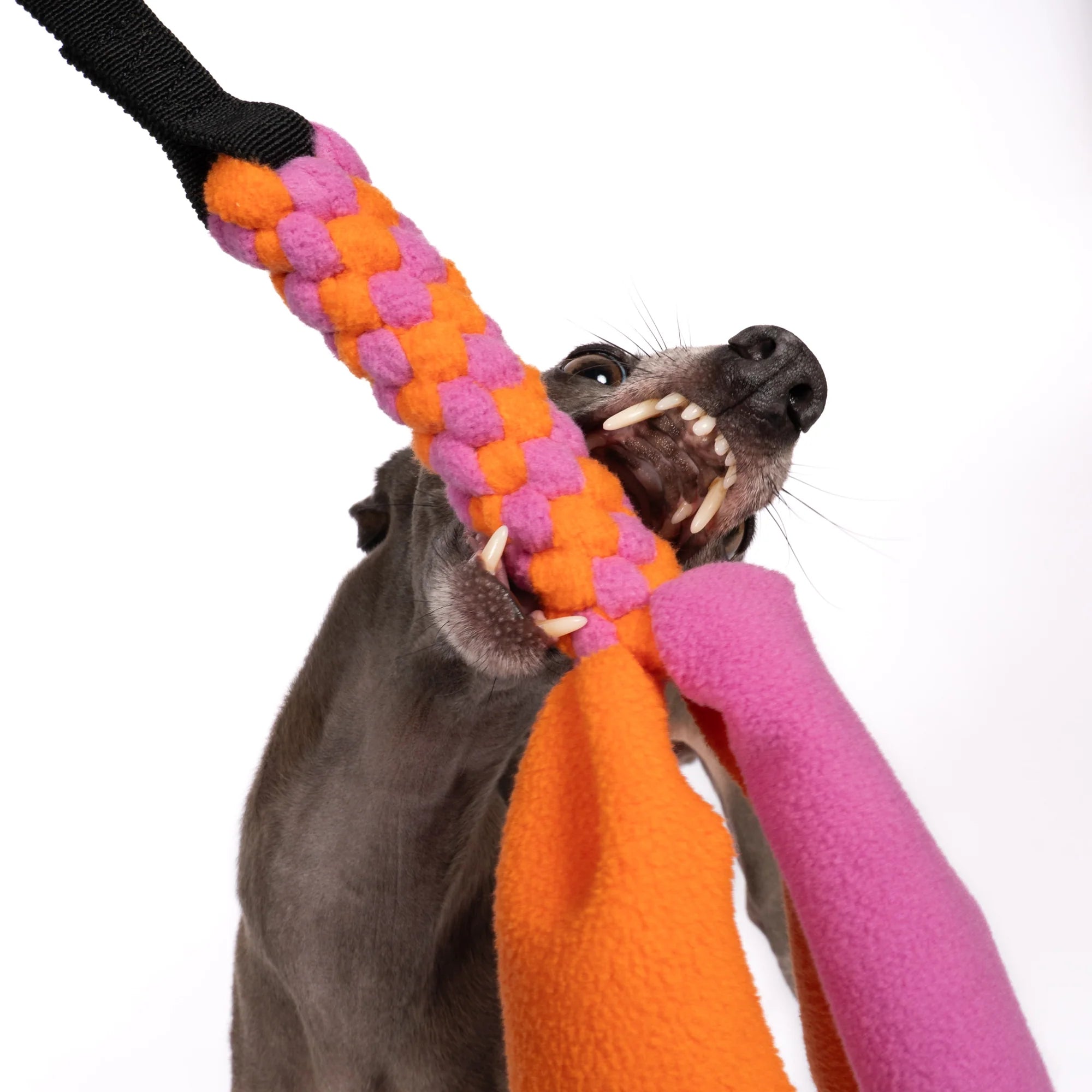 KARMA HUND Bungee-Tau Fleece Bubblegum Orange
