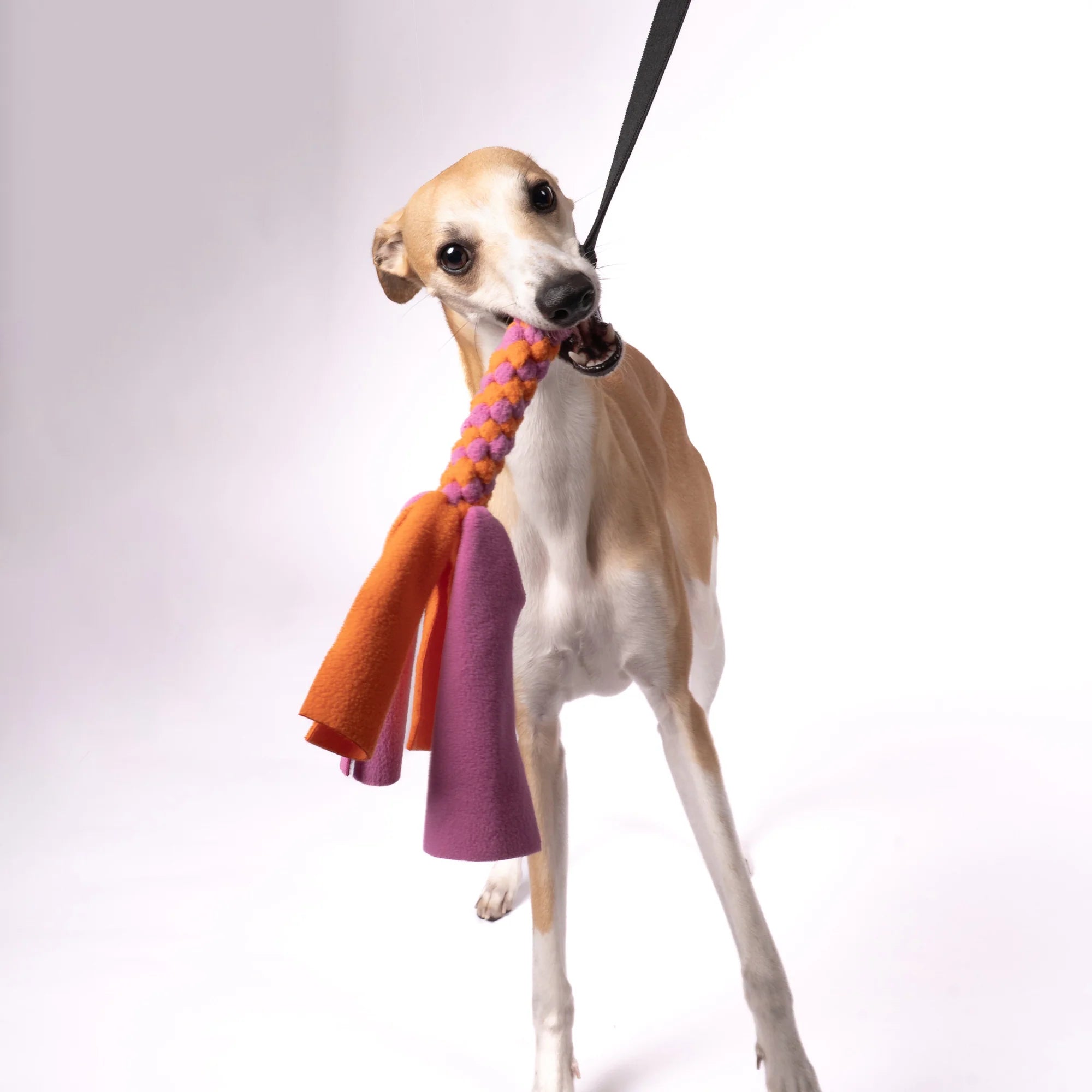 KARMA HUND Bungee-Tau Fleece Bubblegum Orange