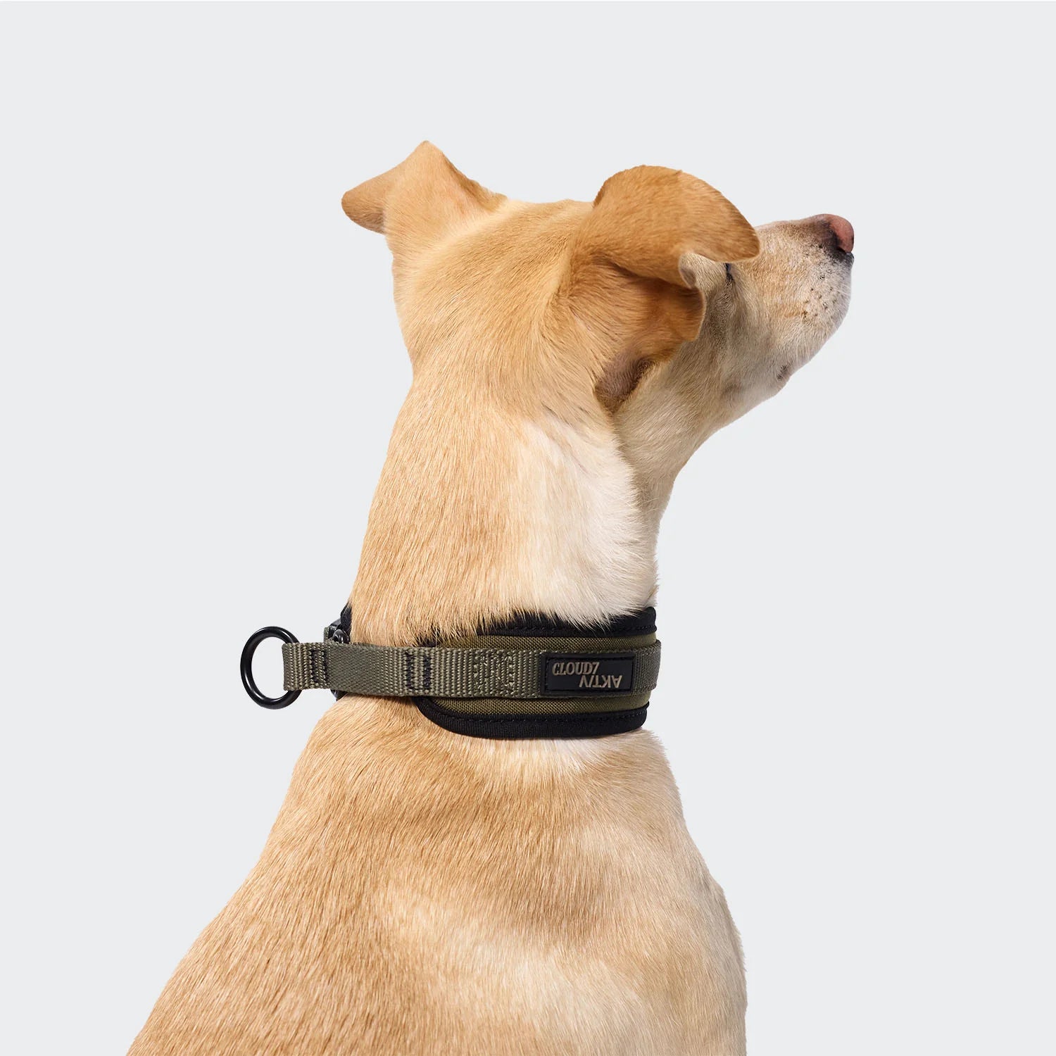 Cloud7 AKTIV C-1 Zugstopp Halsband Softshell Olive