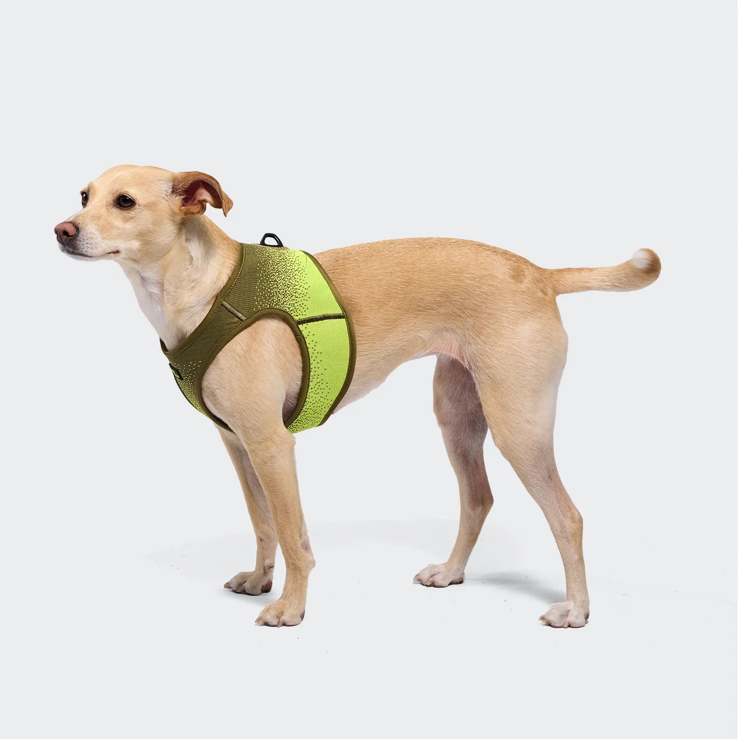 Cloud7 AKTIV V-3 Westengeschirr Knit Khaki / Neon Green