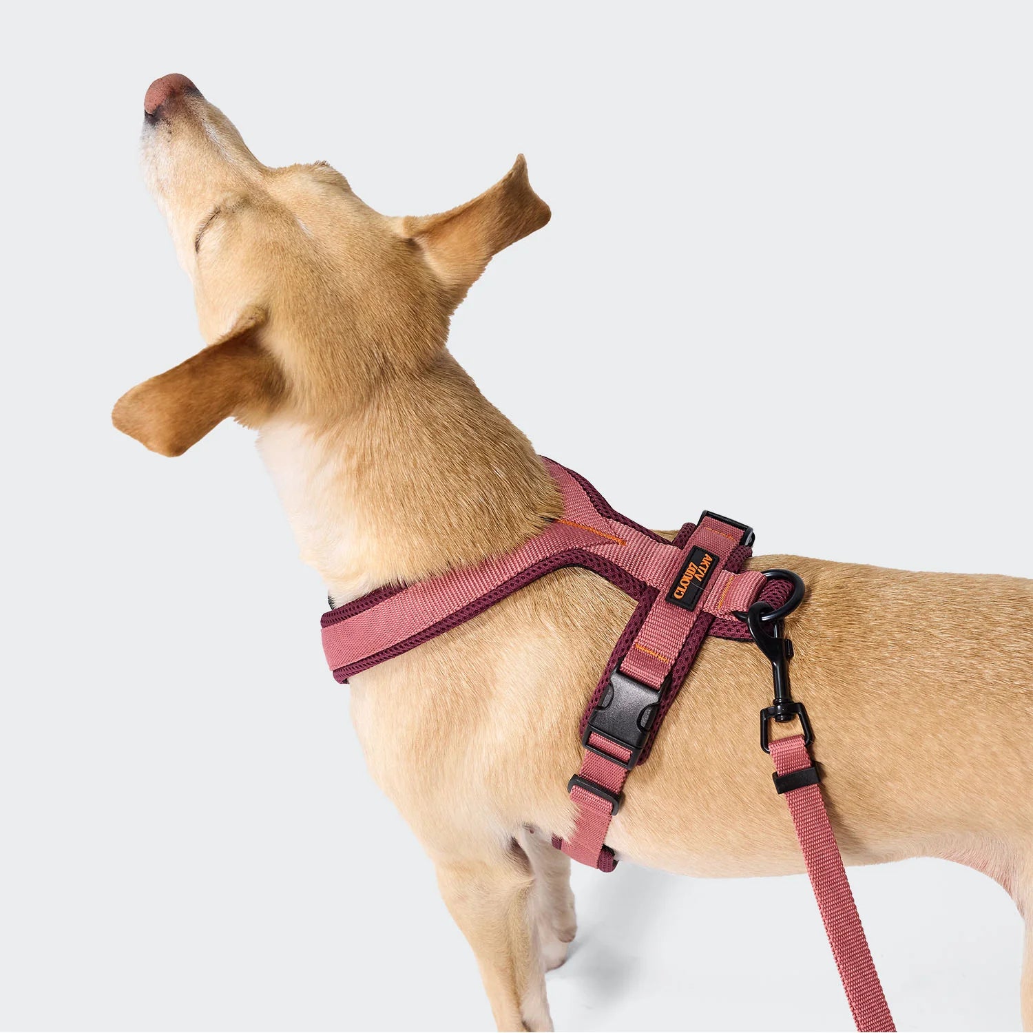 Cloud7 AKTIV Hundegeschirr Y-1 Air-Mesh Aubergine Soft Rose