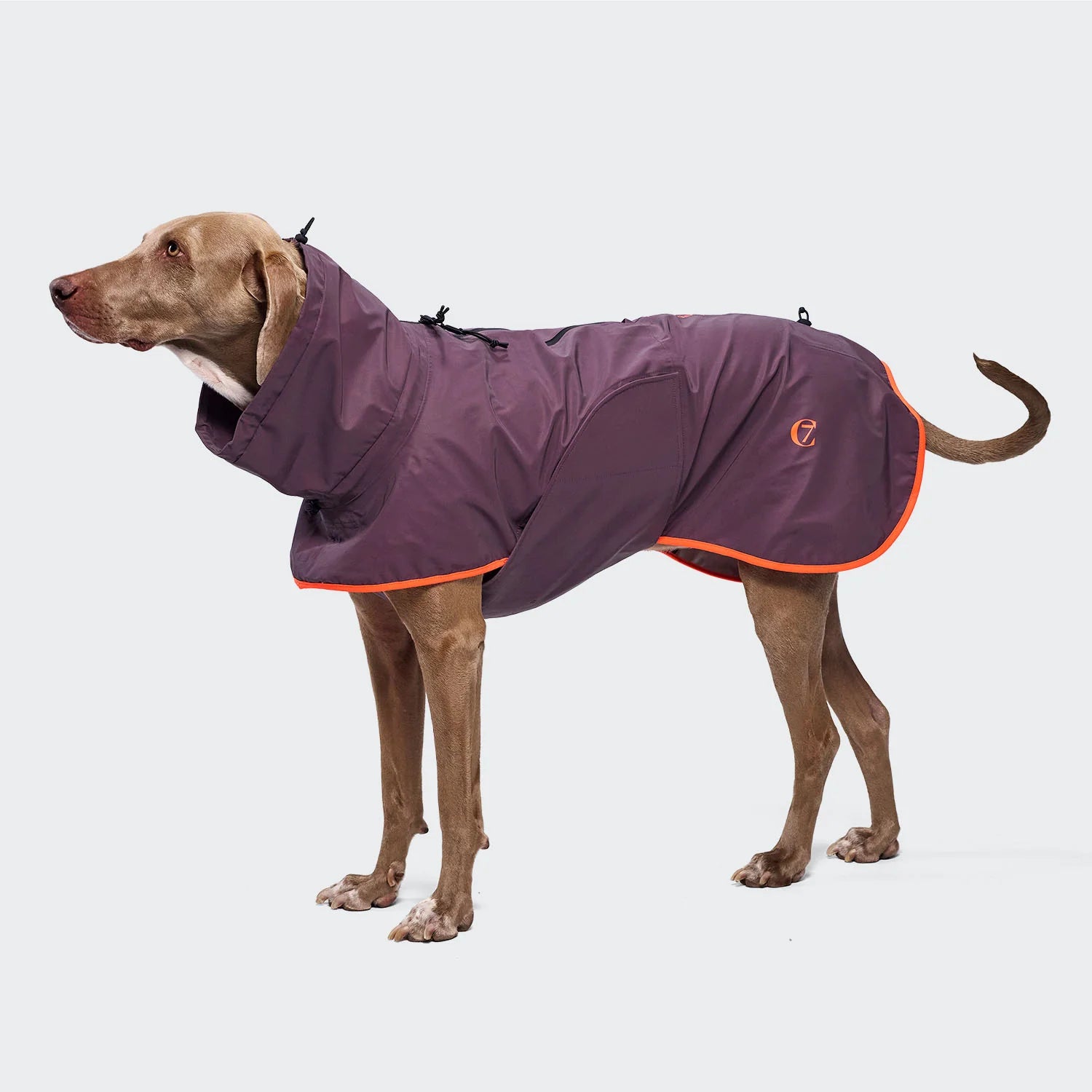 Cloud7 AKTIV Hunderegenmantel Aubergine-Orange