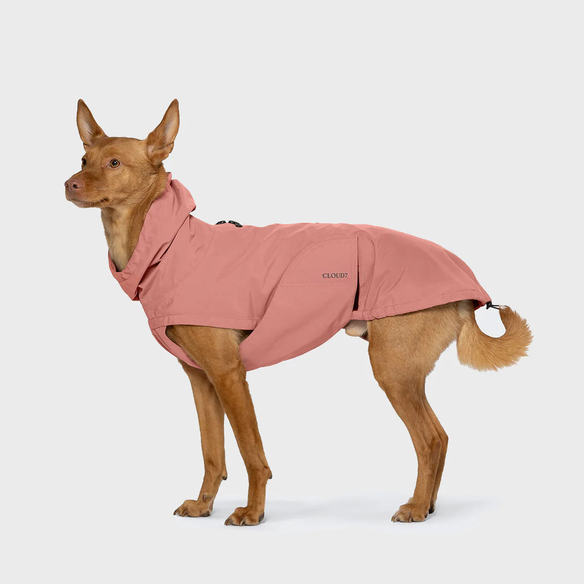 Cloud7 Hunderegenmantel Dublin 2.0 Faded Rose