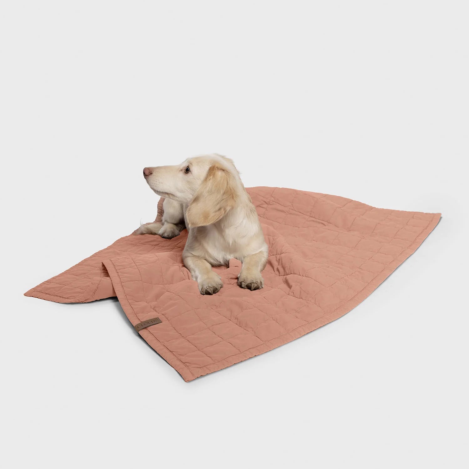 Cloud7 LTTL Hundedecke Dusty Rose