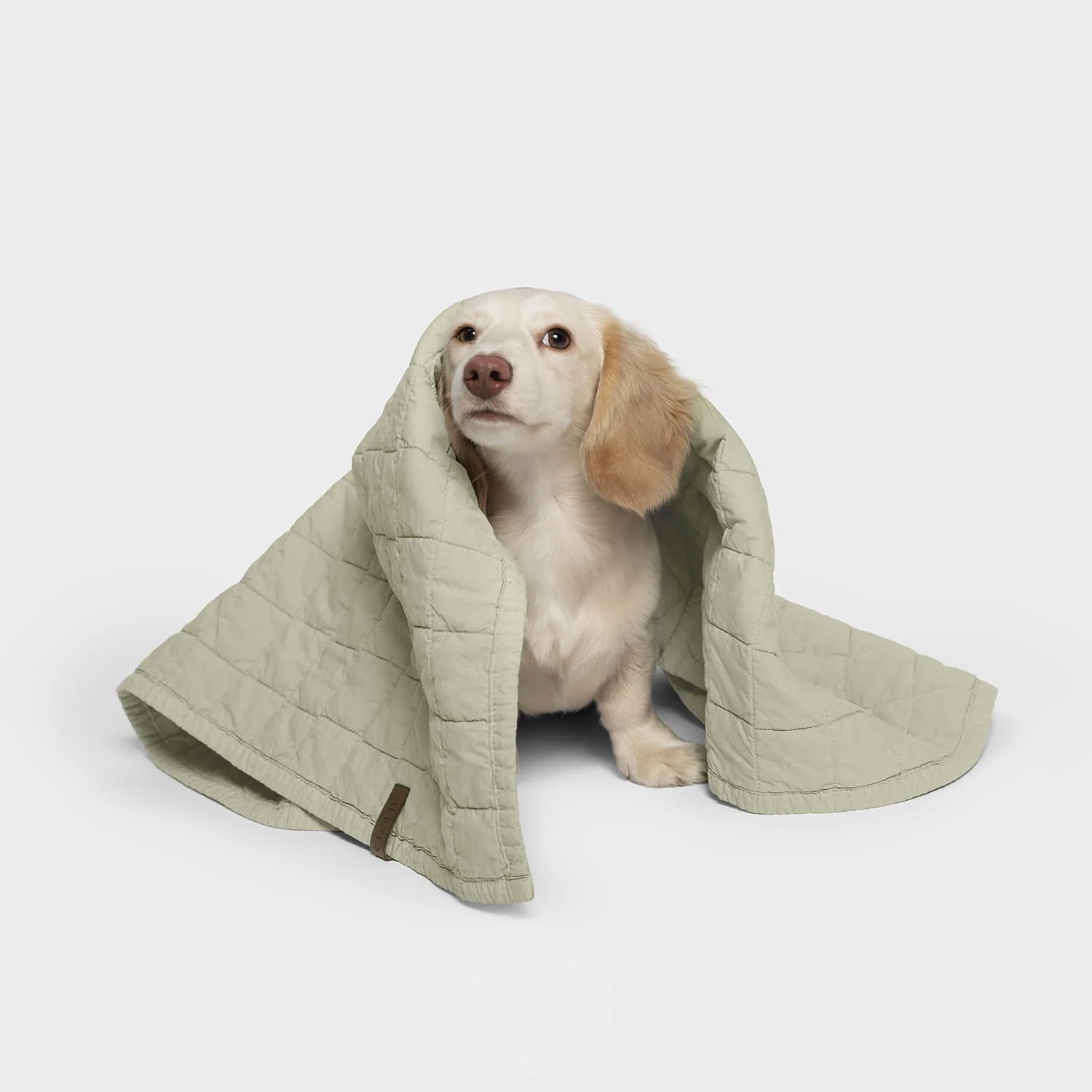 Cloud7 LTTL Hundedecke Dusty Moss