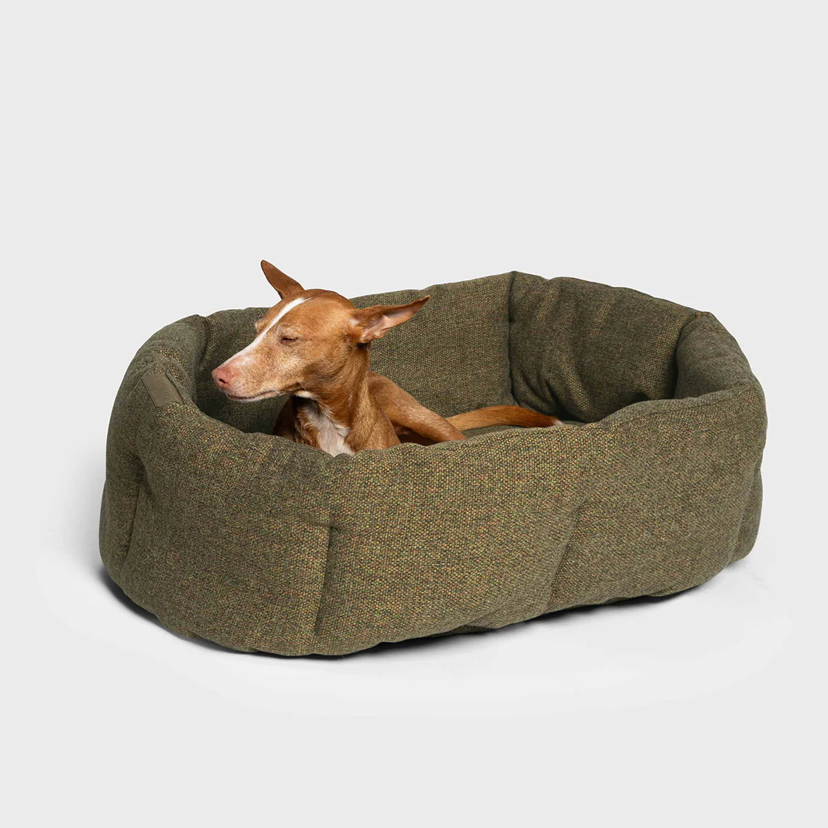 Cloud7 Hundebett LAZY Mélange Olive Hundekissen