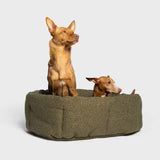 Cloud7 Hundebett LAZY Mélange Olive Hundekissen