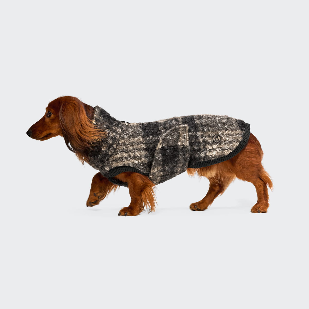Cloud7 Hundepullover DACKEL Gotland Tartan Tragebild 2
