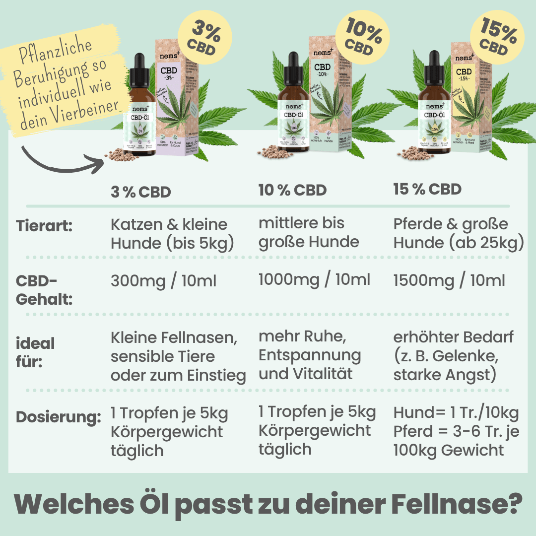 Noms+ CBD Tropfen für Hunde zur äußerlichen Anwendung