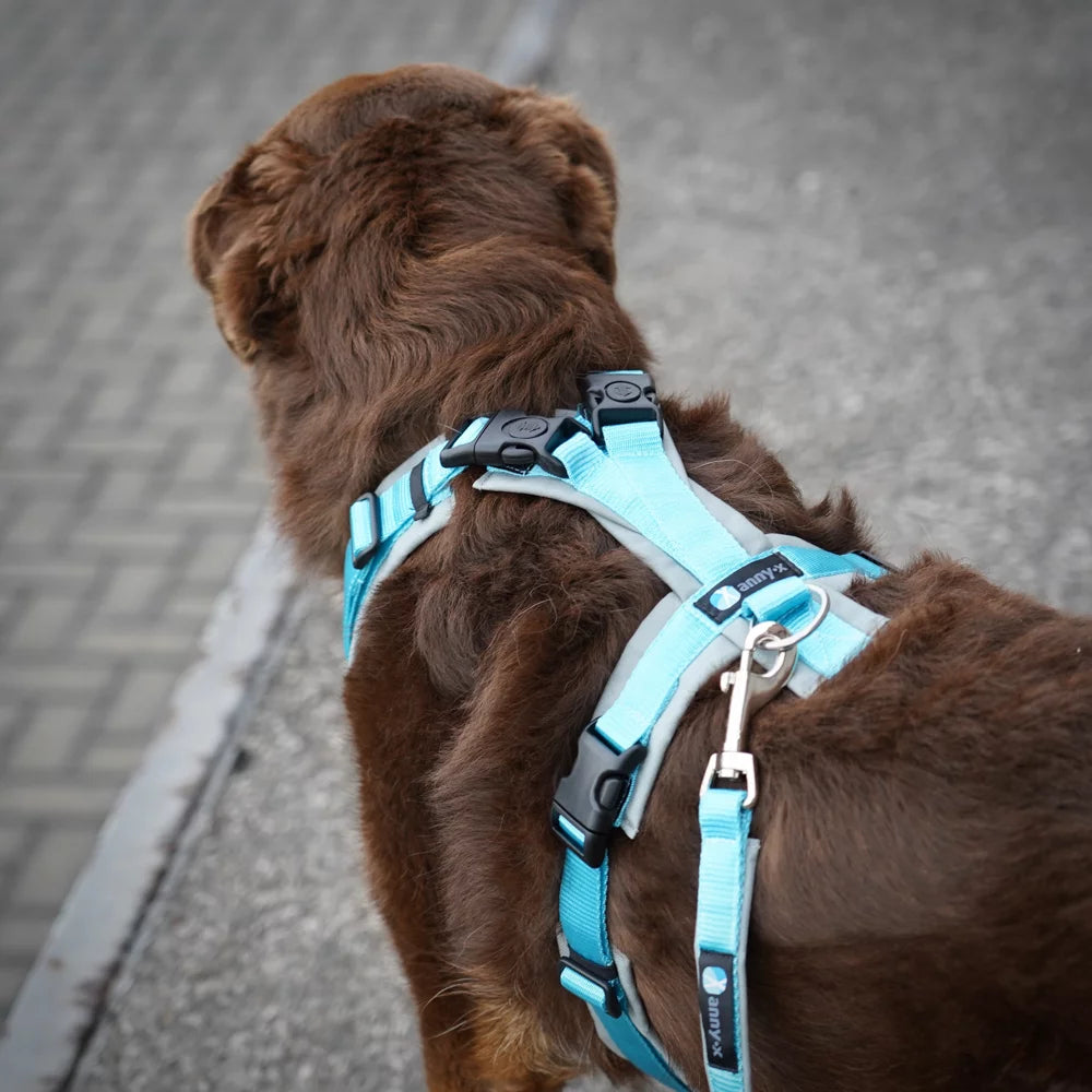 annyx Hundegeschirr Fun OPEN