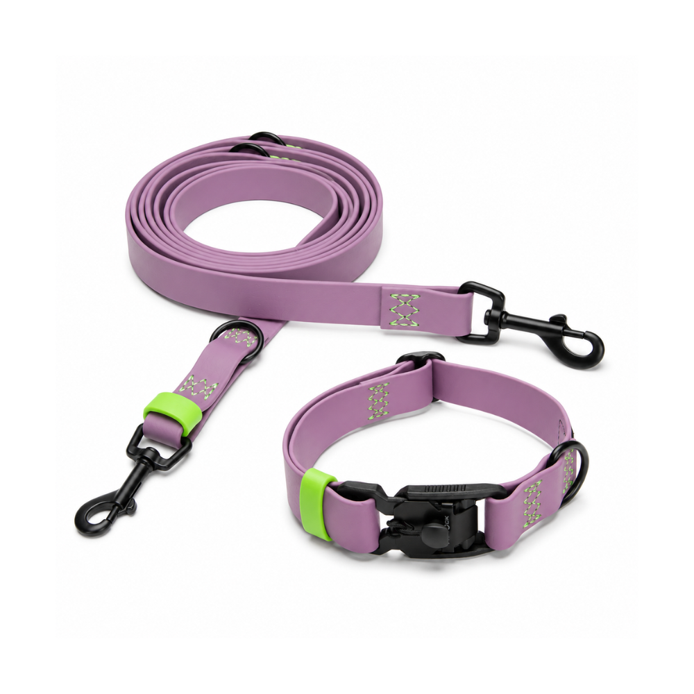 CLOUD7 Set Hundehalsband & Hundeleine BioThane Ipanema Lilac-Neon Green
