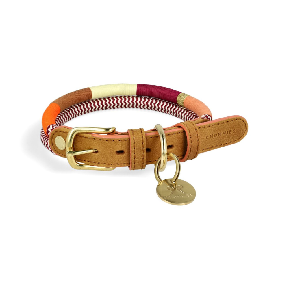 Chommies Adjustable Dog Collar Halsband Autumn