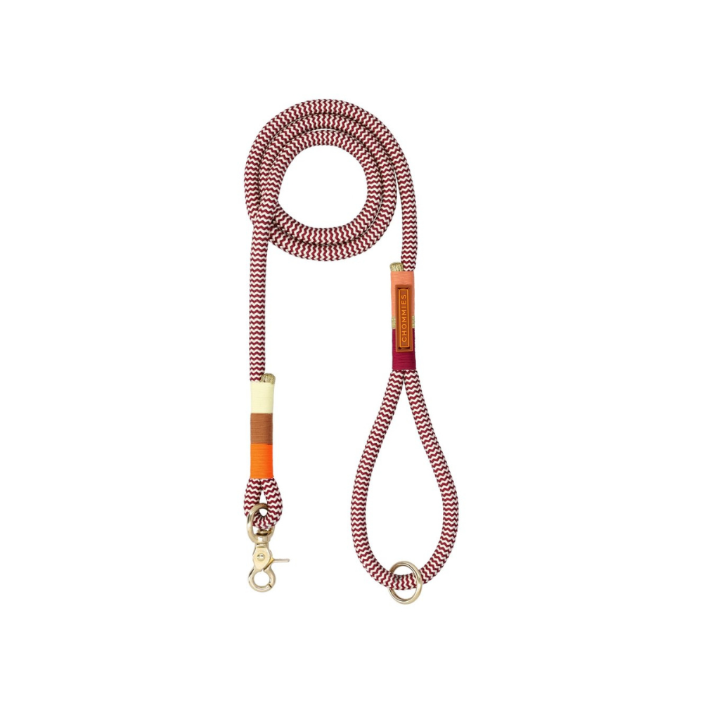 Chommies Everyday Dog Leash Cityleine Autumn