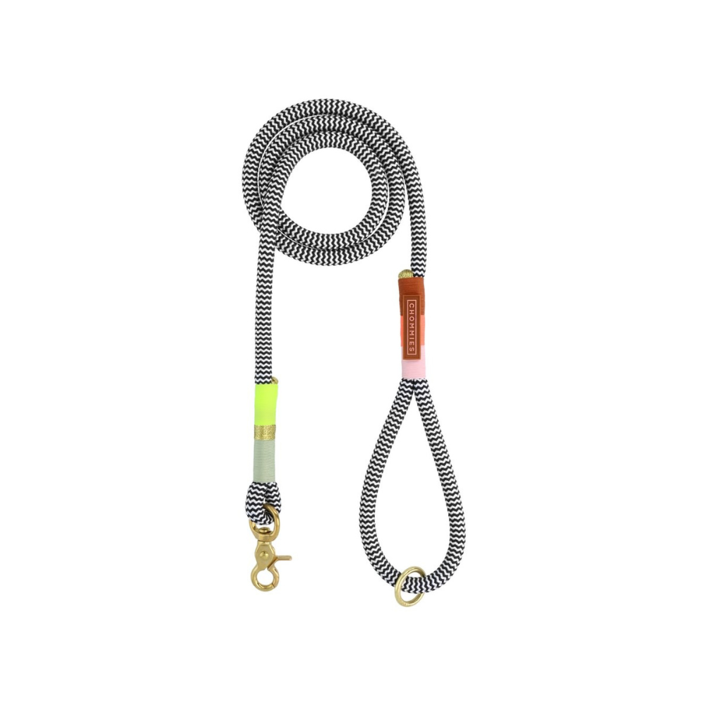 Chommies Everyday Dog Leash Cityleine Popsicle