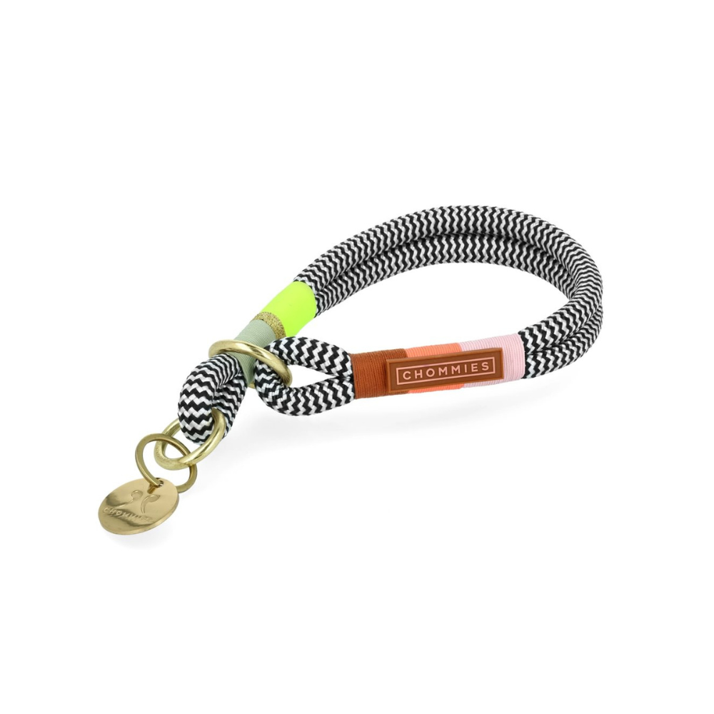 Chommies Slip-On Dog Collar Halsband Popsicle