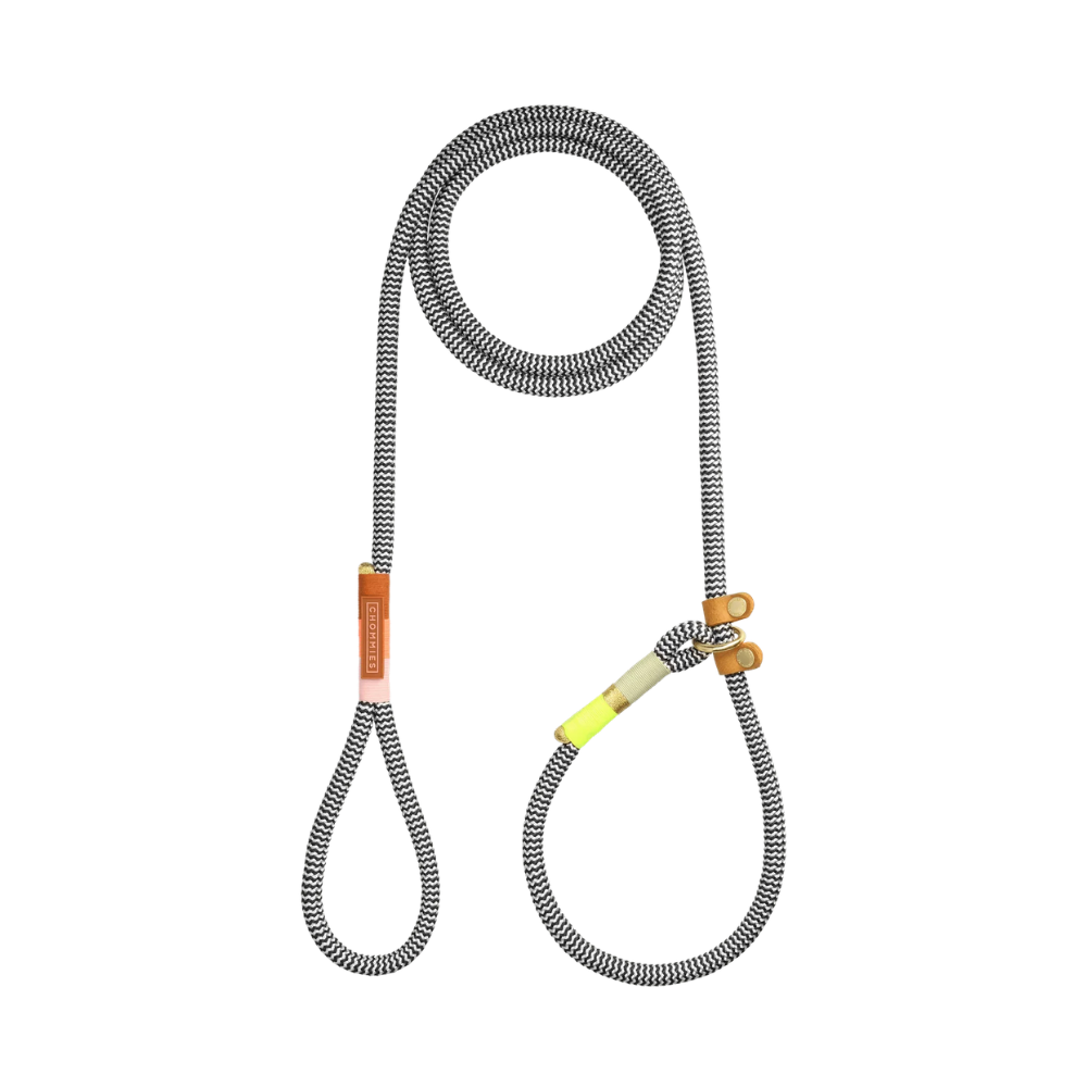 Chommies Slip-On Dog Leash Retrieverleine Popsicle