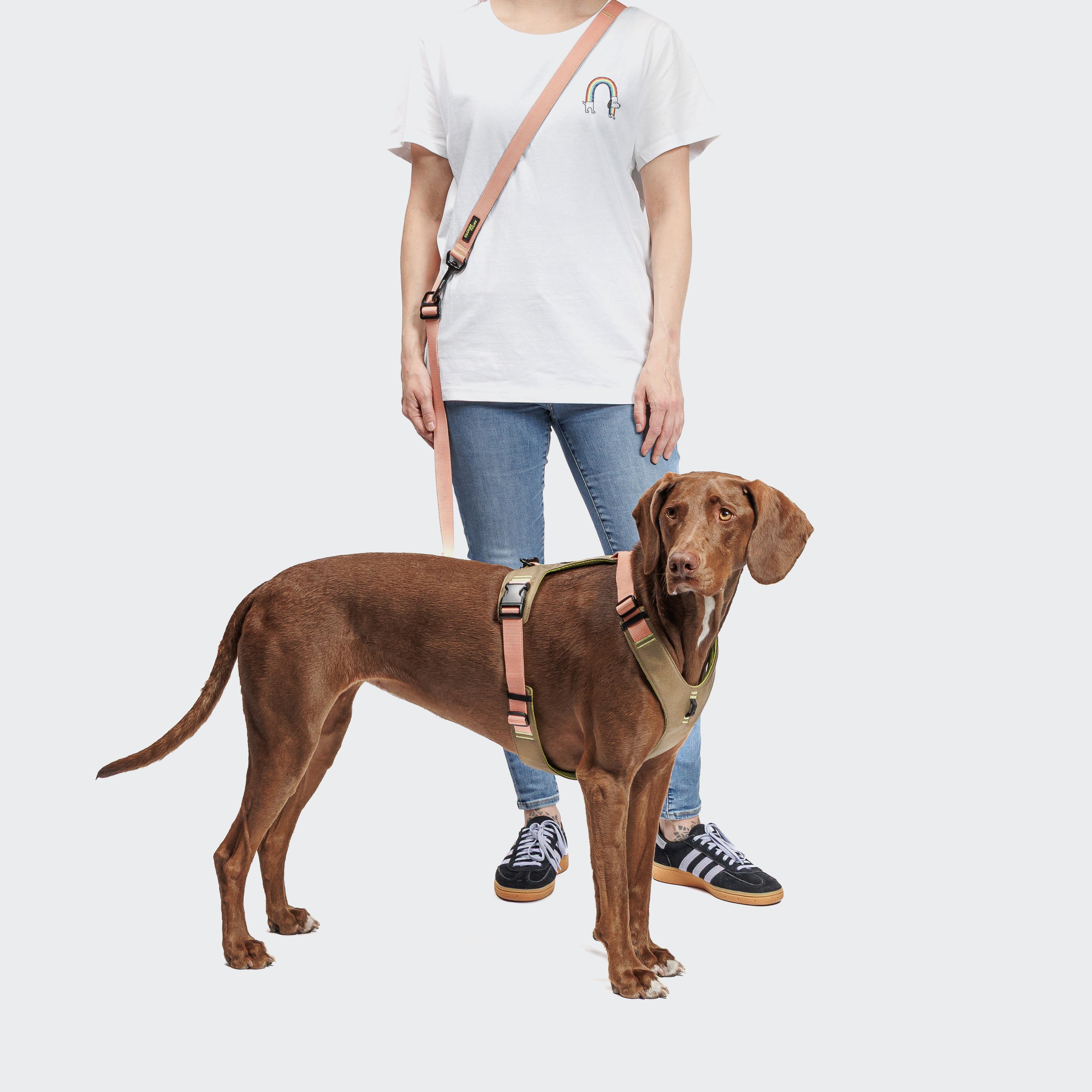 Cloud7 AKTIV Hundegeschirr Y-2 Cordura Khaki-Peach & Handsfree Hundeleine L-1 Peach