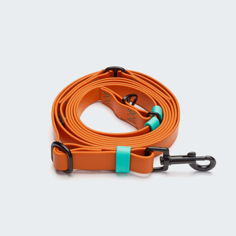 Cloud7 Handsfree Hundeleine BioThane Ipanema Orange-Aqua