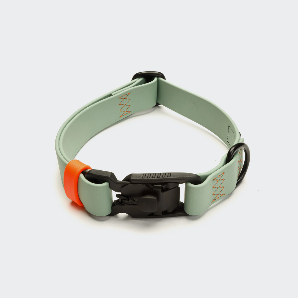 Cloud7 Hundehalsband BioThane Ipanema Mint-Neon Orange