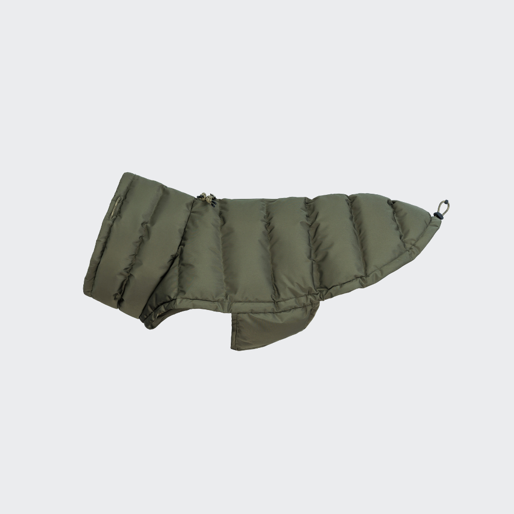 2025 Cloud7 Hundemantel Winter ALASKA Frenchie Light Olive