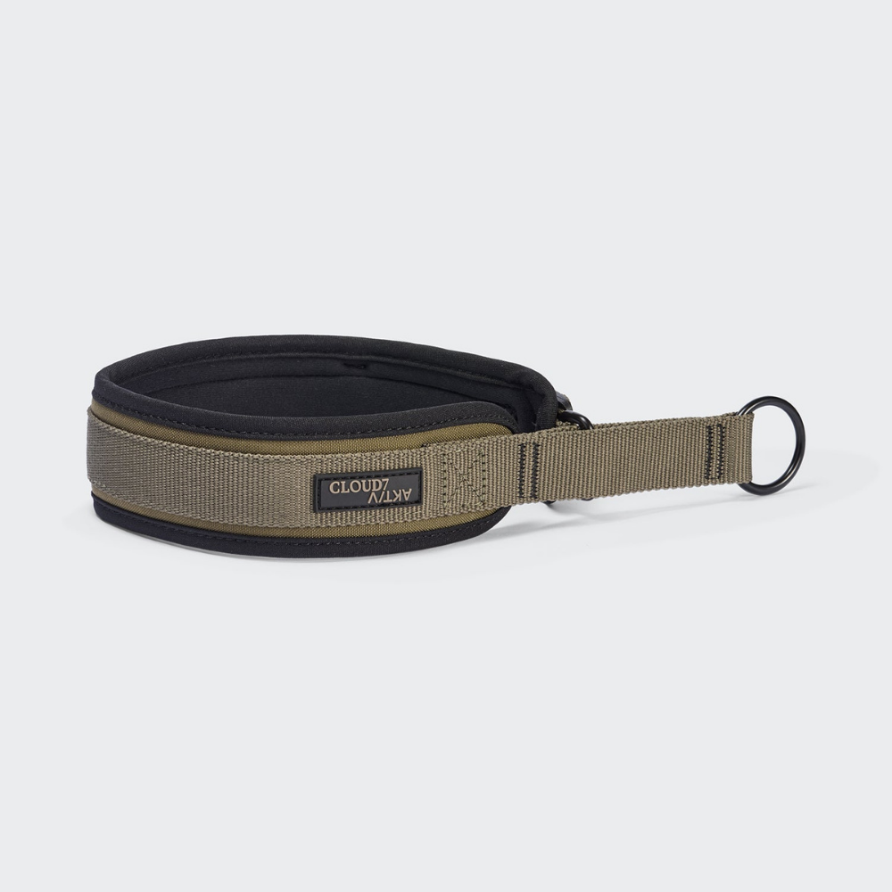 Cloud7 AKTIV C-1 Zugstopp Halsband Softshell Olive