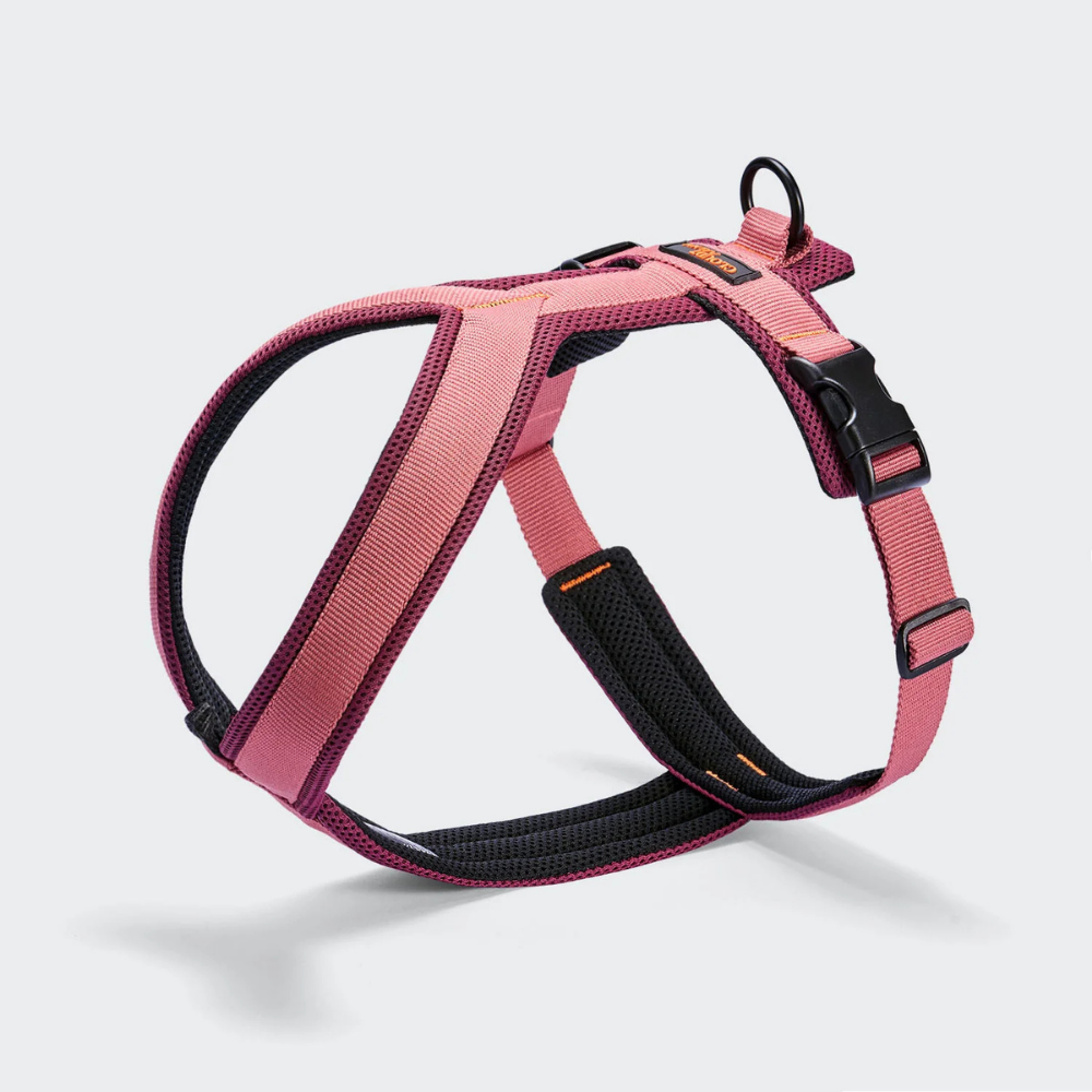 Cloud7 AKTIV Hundegeschirr Y-1 Air-Mesh Aubergine Soft Rose