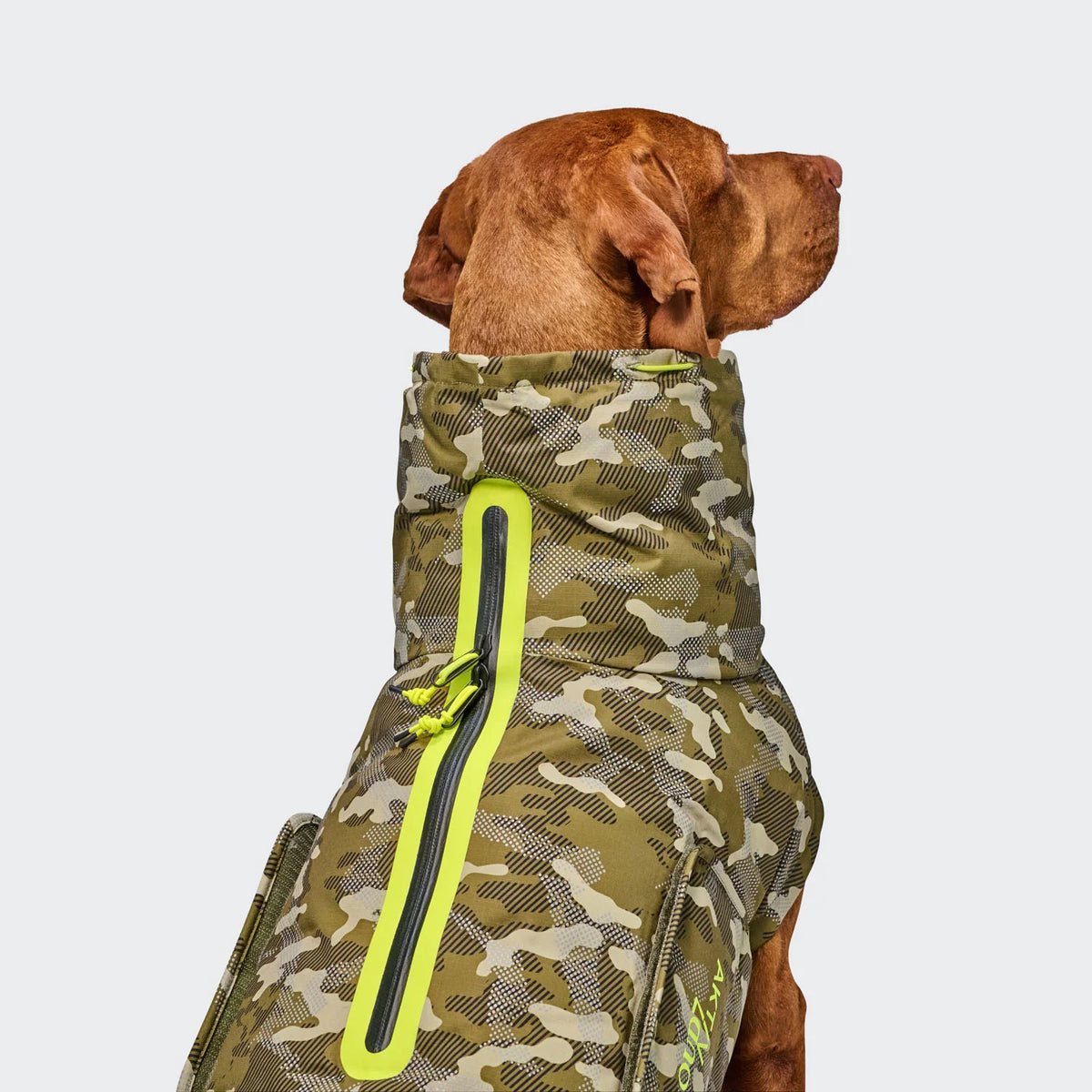 Cloud7 Aktiv Hundemantel Winter ALASKA Camo 2-Wege-Reißverschluss Tragebild