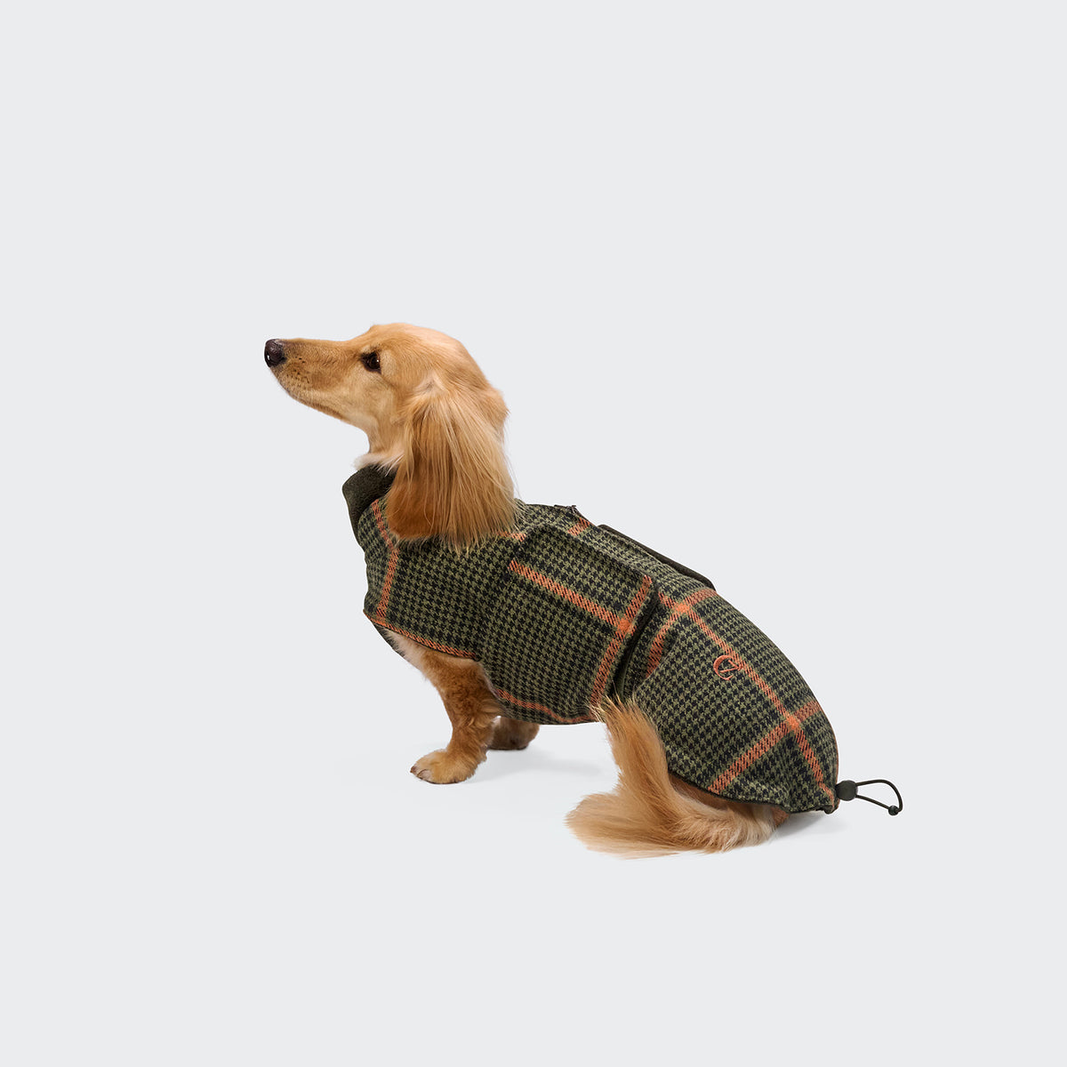 Cloud7 Hundemantel DACKEL Brooklyn Flanell Tartan Green Tragebild