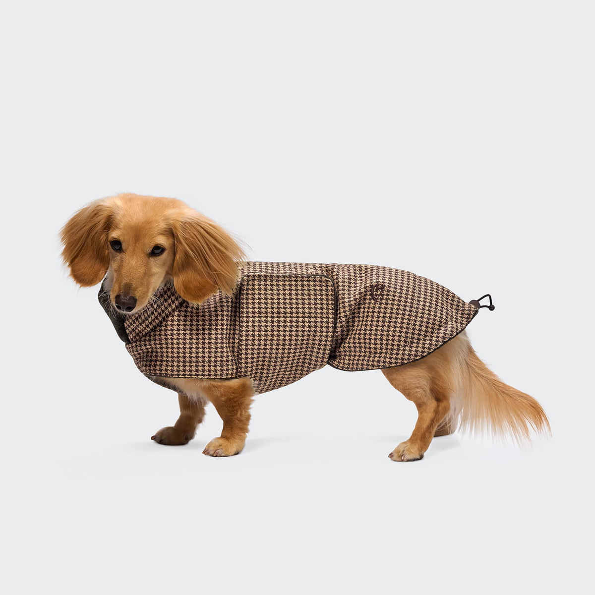 Cloud7 Hundemantel DACKEL Brooklyn Houndstooth Tragebild