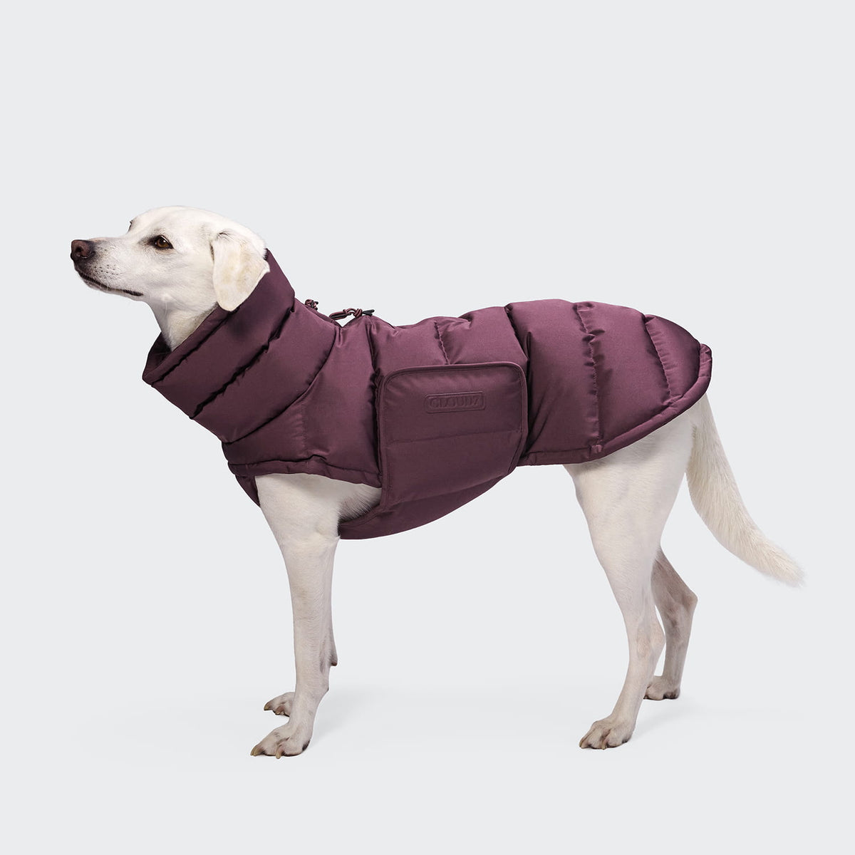 Cloud7 Hundemantel Winter ALASKA Aubergine Tragebild