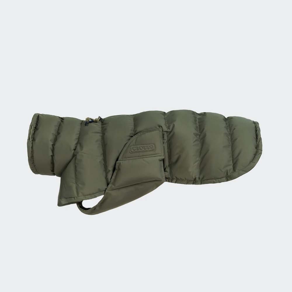 Cloud7 Hundemantel Winter Everest Light Olive