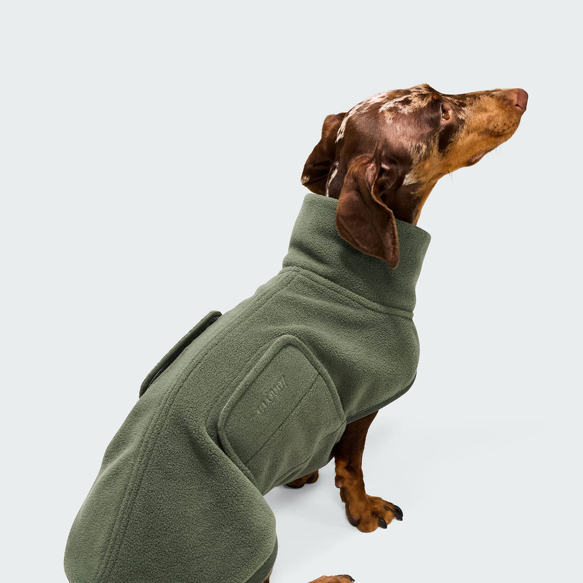 Cloud7 Hundepullover DACKEL Soft Fleece Derby 2.0 Khaki Tragebild 2