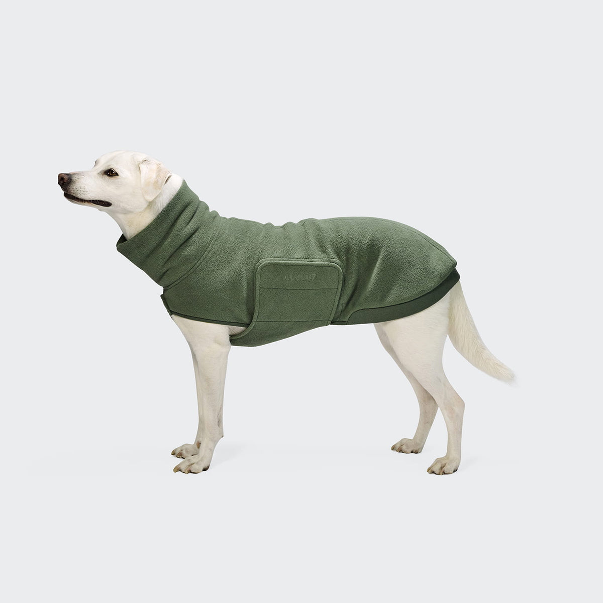 Cloud7 Hundepullover Soft Fleece Derby 2.0 Khaki Tragebild