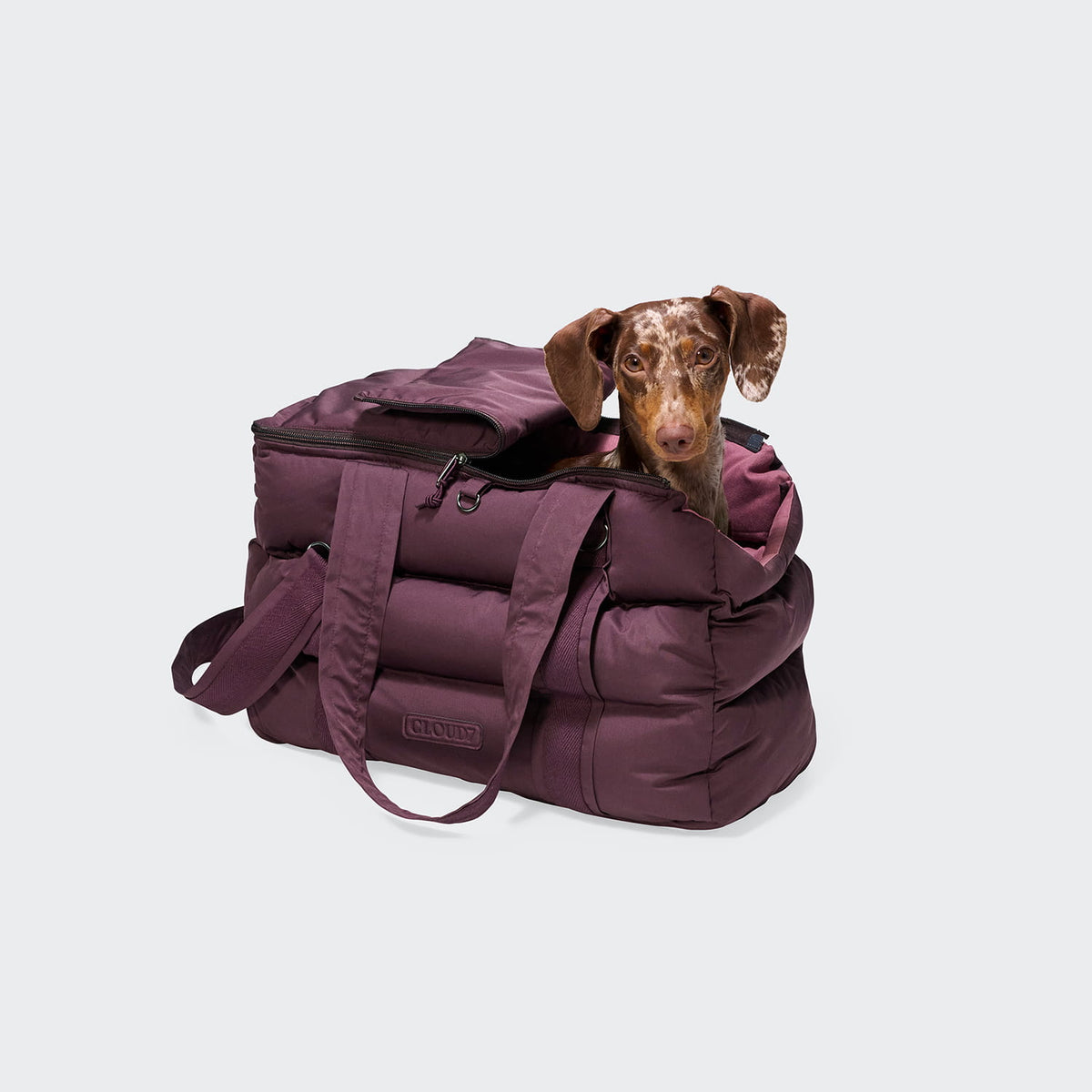 Cloud7 Hundetasche MONTREAL 2.0 Aubergine mit Hund