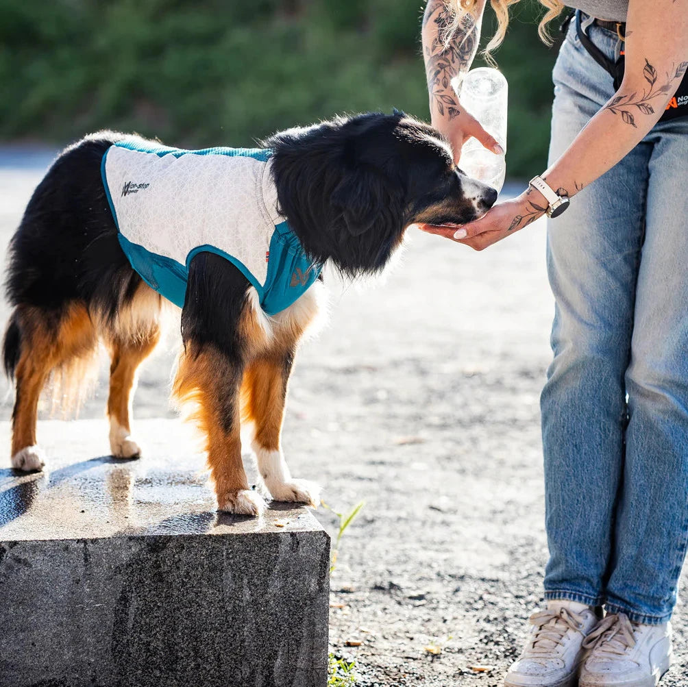 Kühlweste Cooling pull-on vest