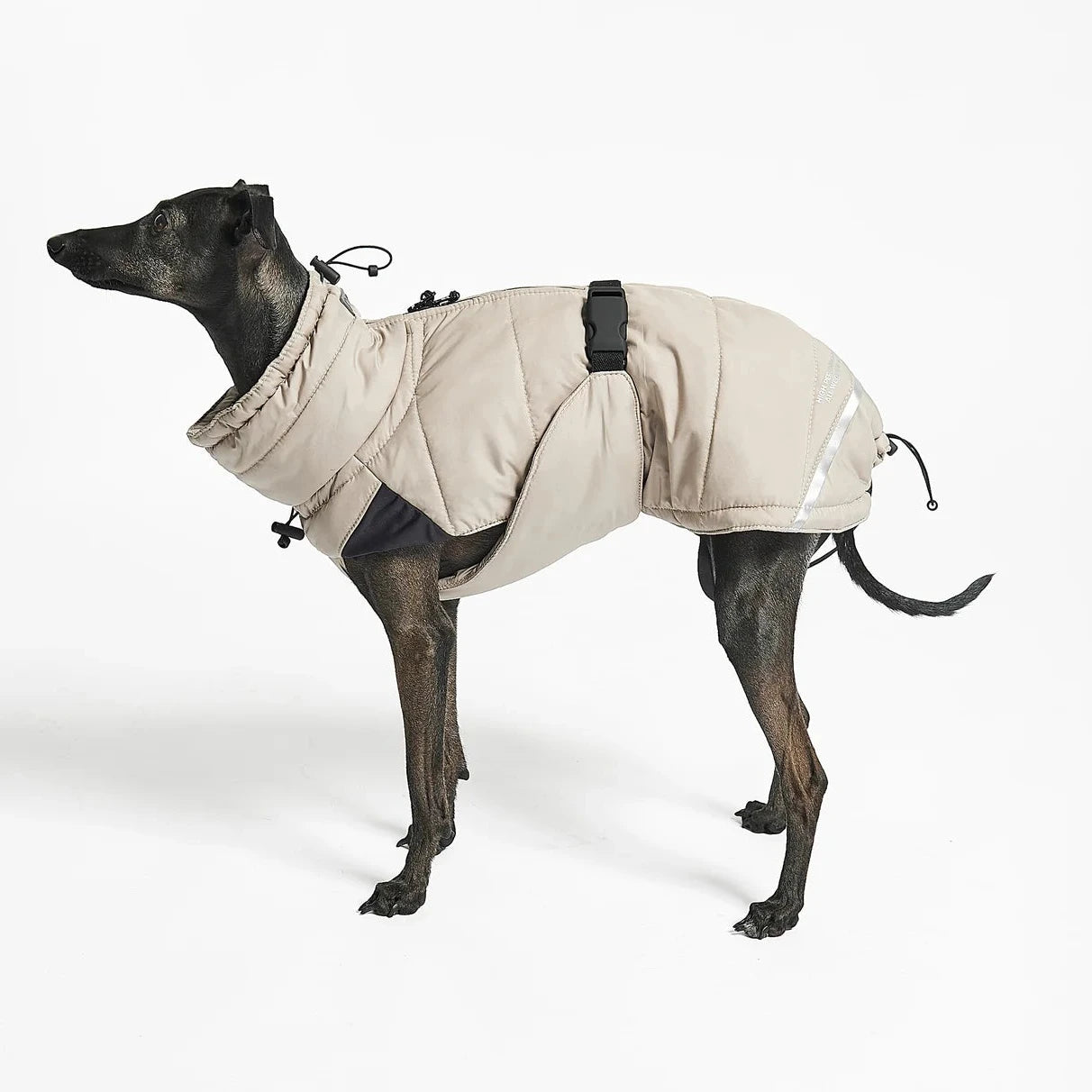 Tragebild MiaCara Hundemantel Winter COSIMA sand