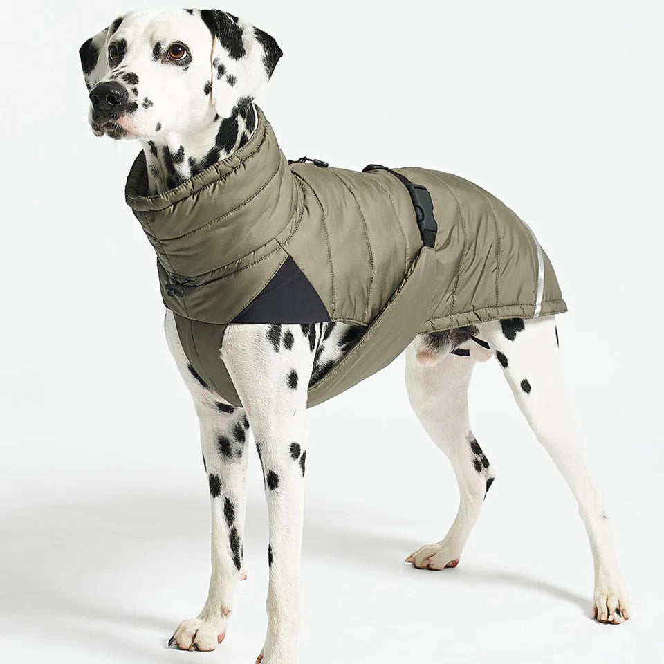 Tragebild MiaCara Hundemantel Winter COSIMA grolive