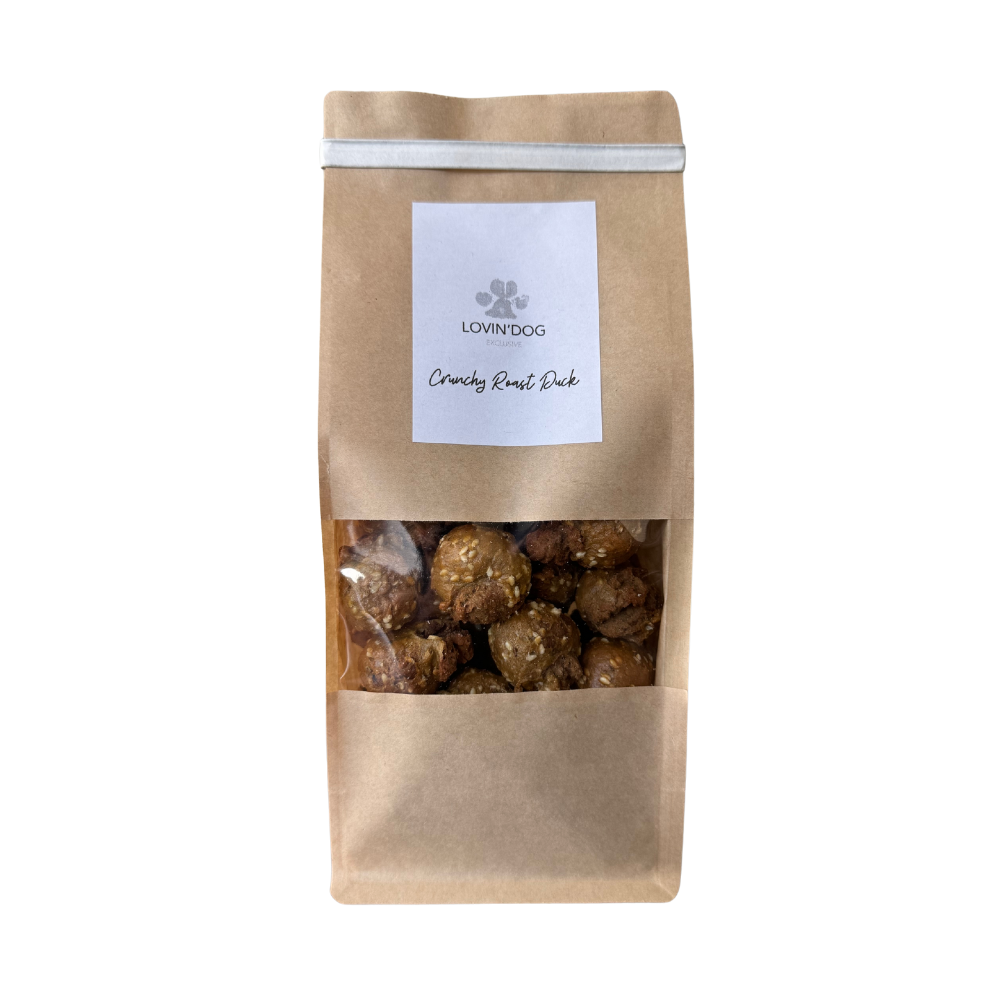 Crunchy Roast-Duck Entenbraten - LOVIN'DOG