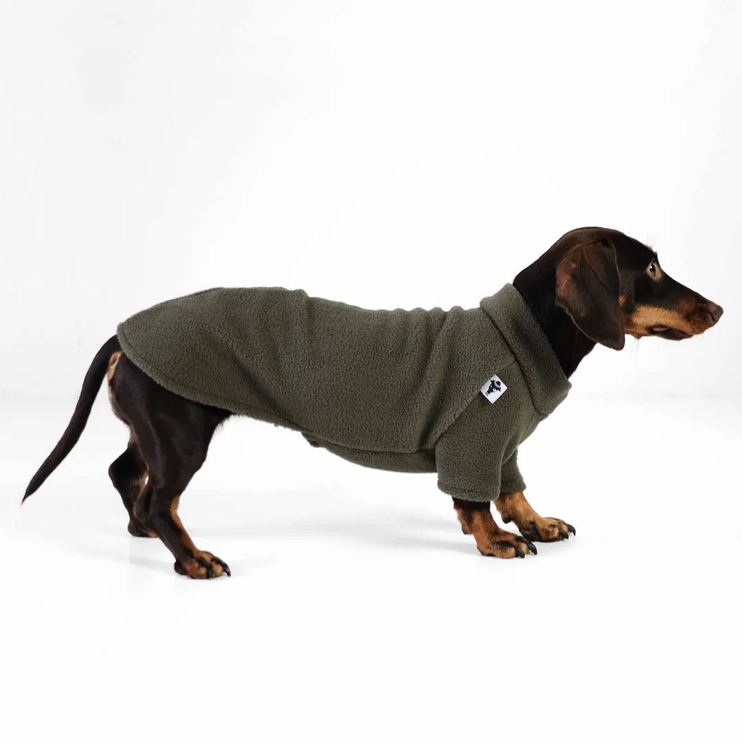 KARMA HUND Pullover für Dackel in Dark Olive