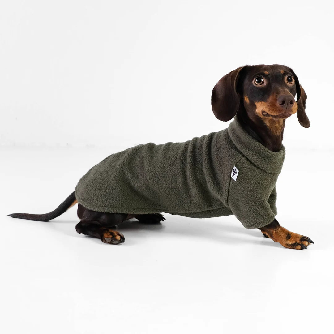 KARMA HUND Pullover für Dackel in Dark Olive