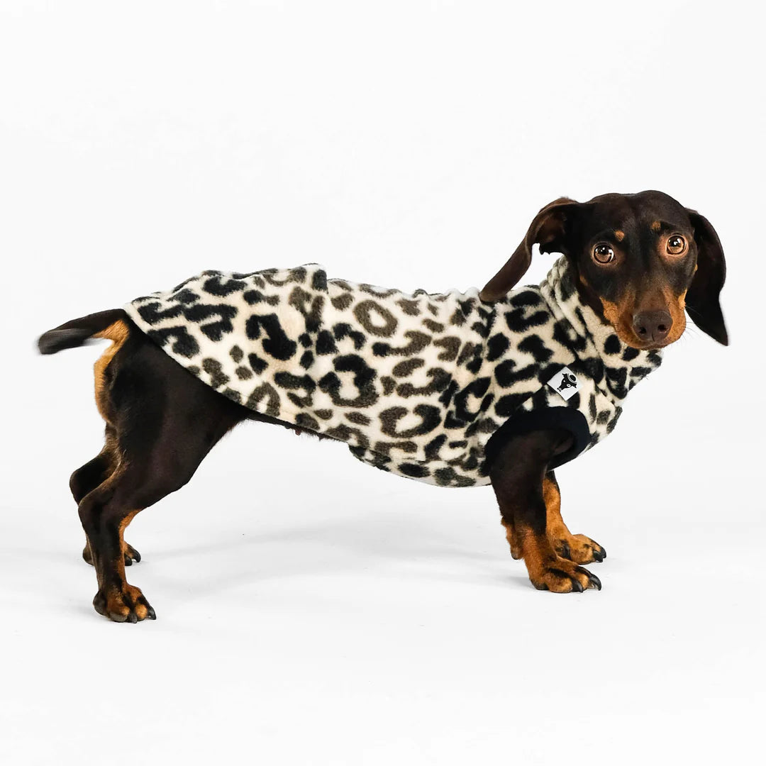 KARMA HUND Longshirt 2.0 für Dackel in Leo