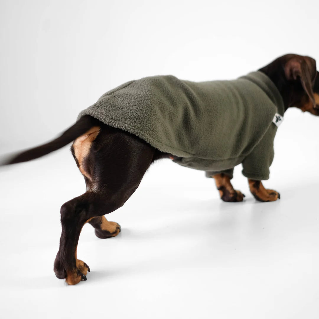 KARMA HUND Pullover für Dackel in Dark Olive