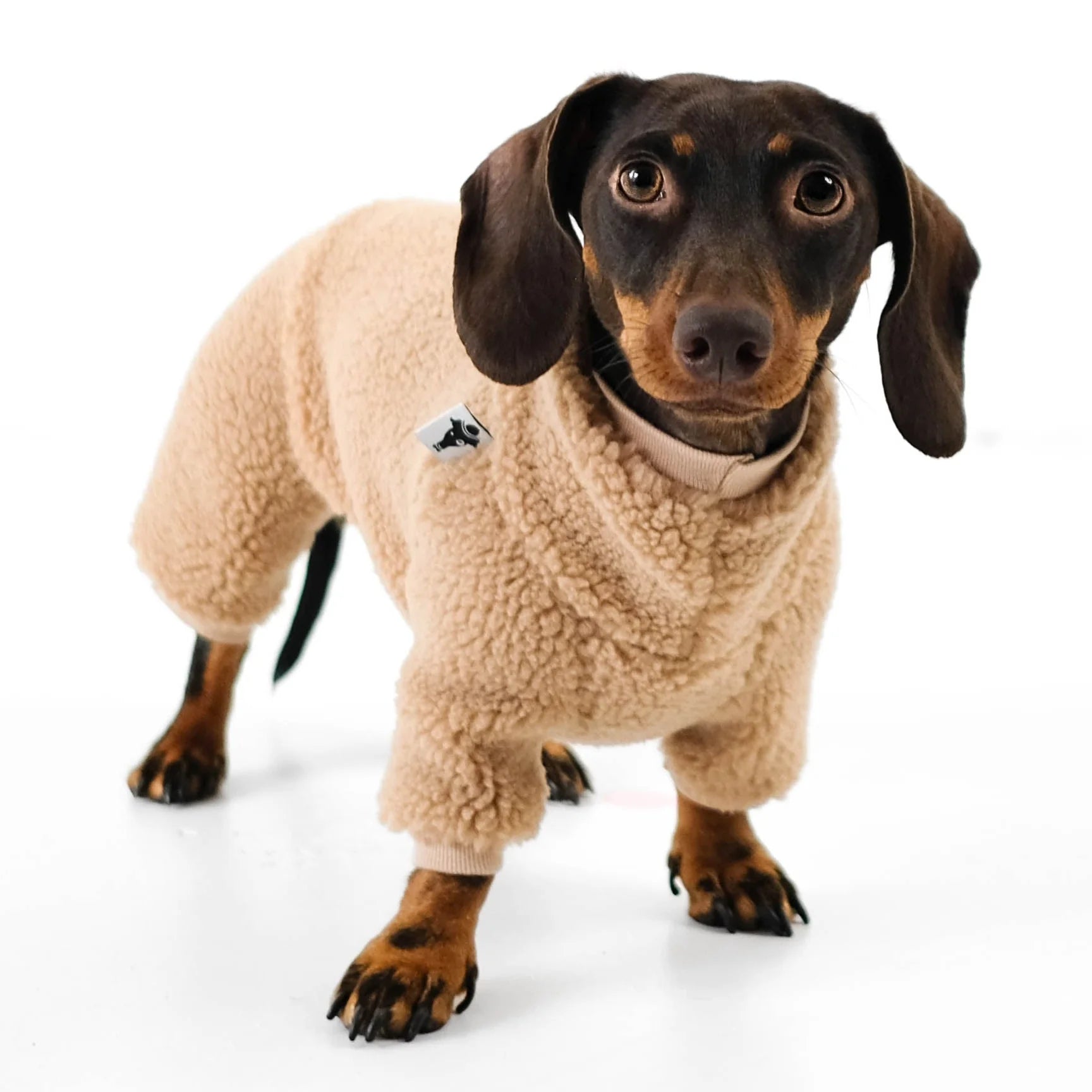 KARMA HUND Teddy Overall für Dackel in Camel