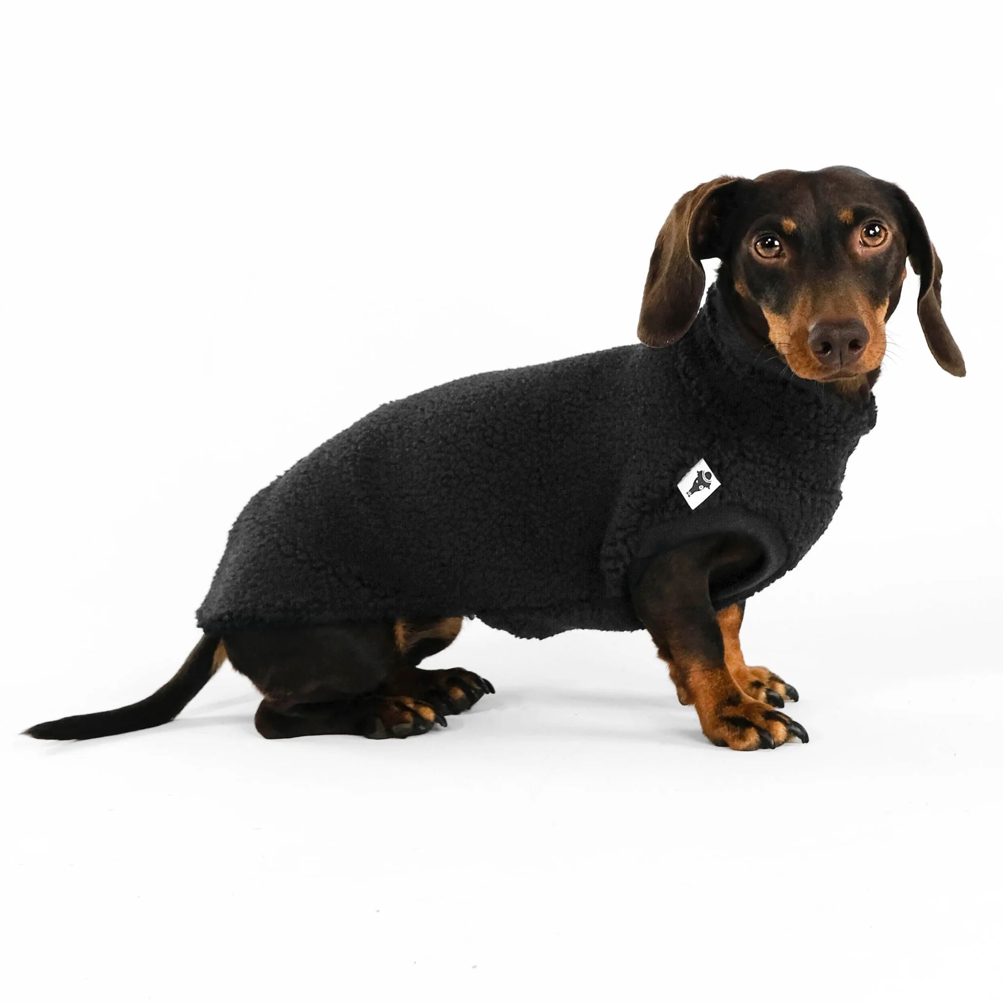 KARMA HUND Teddy Shirt für Dackel in Schwarz