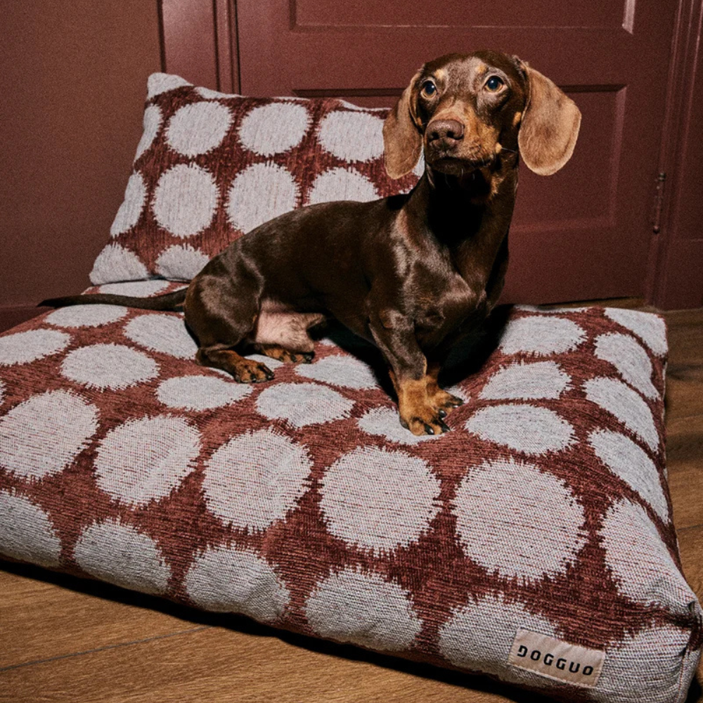 Dackel auf Dot Hundekissen Brown/Blue - DOGGUO